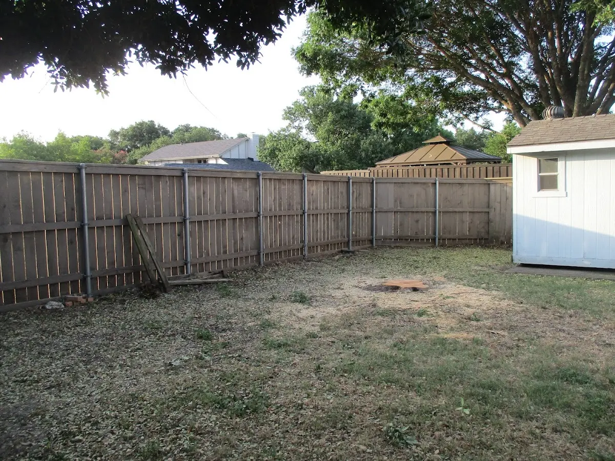 Cleared yard after professional tree removal in Minoa